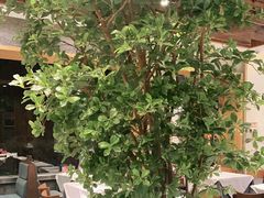 -福海居烤鸭店(鸟巢店)
