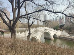 -迎泽公园