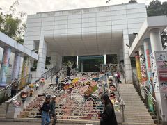 -九龙公园