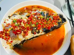 -全乐鱼馆·淳牌有机鱼直营店