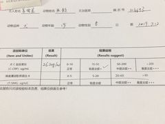 -喜多萌中农锦绣动物医院24H·猫科·牙科MRI·CT