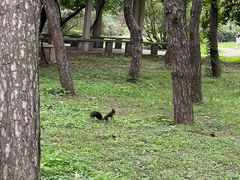 -国家植物园南园