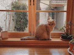 -0907餐厅(核桃园店)