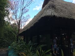 -云南民族村