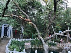 -蝴蝶泉公园