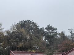 -冶父山国家森林公园
