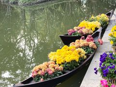 -东南花都花博园