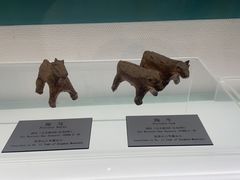 -衢州市博物馆