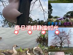 -海珠湖公园