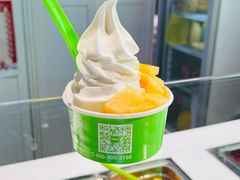 -Salud撒露欧洲冻酸奶(蓝色港湾店)