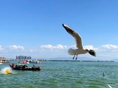 -滇池海埂公园