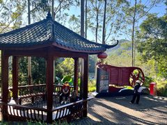 -黄埔油麻山森林公园