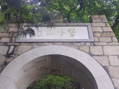 -阳台山自然风景区