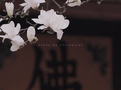 -杭州上天竺法喜讲寺