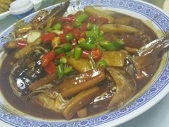 -张鸟园农家乐(张鸟园店)