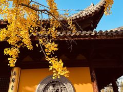 -龙华寺