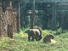 -昆明动物园