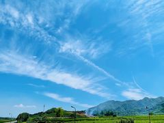-龙坞茶村