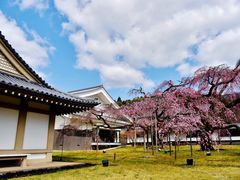 -醍醐寺