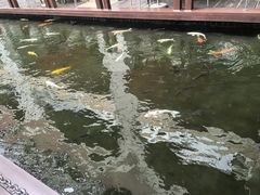 -Waterfall瀑布湾优健源(华侨城店)