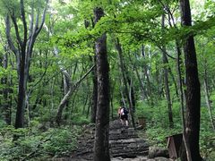 -三块石国家森林公园