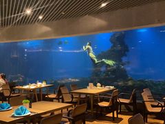 -涛·海底餐厅·美人鱼·自助餐·海底隧道(三亚海棠湾洲际度假酒店)
