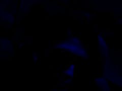 -保定金棕榈先天下国际影城(LUXE)