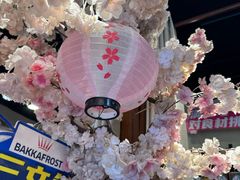 -三月居酒屋(青年大街店)