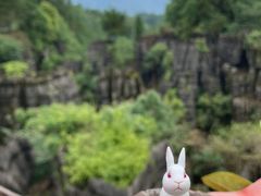 -梭布垭石林景区