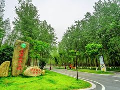 -黄海国家森林公园