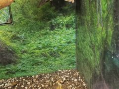 -上海大自然野生昆虫馆(东方明珠·爬宠昆虫探索中心)