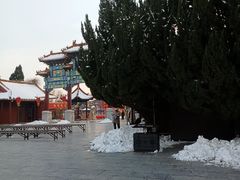 -中国翰园碑林