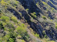 -燕塞湖鸟语林景区