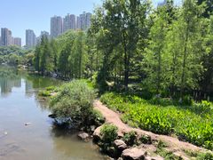 -重庆彩云湖湿地公园