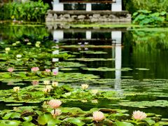 -国家植物园南园