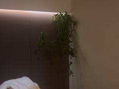 -小仙女采耳·按摩·SPA(深圳旗舰店)