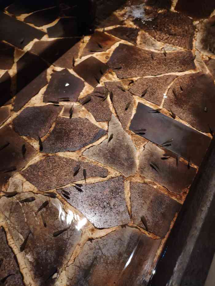 盛悦溪水湾-"火龙浴爱好者 家附近新开店 必须来感受一.