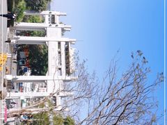 -梧桐山风景名胜区