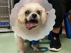 -康乐宝动物医院