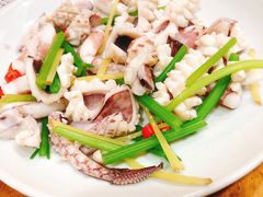 鲜鱿鱼-潮粥馆(长江花园店)