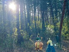 -帽儿山国家森林公园