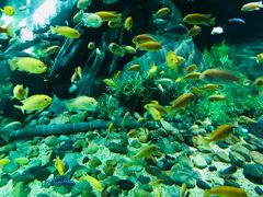 -福州罗源湾海洋世界旅游区