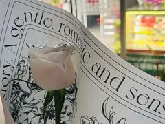 -FEI FEI FLOWER鲜花店·气球派对·宝宝宴布置(虹口德必运动Loft店)
