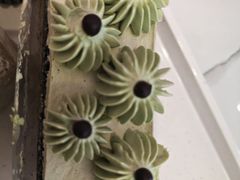 -摩尔森林·蛋糕烘焙·甜品自助(三牌楼店)