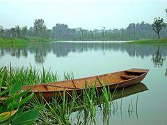 -白鹭湾湿地公园