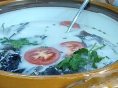 -全乐鱼馆·淳牌有机鱼直营店