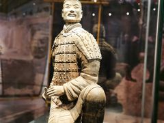 -秦始皇帝陵博物院(兵马俑)