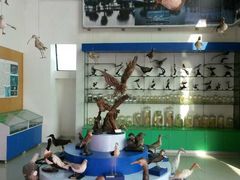 -湖南东洞庭湖国家级自然保护区