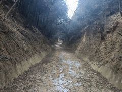 -函谷关历史文化旅游区