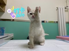-全心全意连锁动物医院(石景山店)